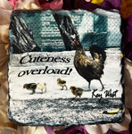 Cuteness Overload Slate Coaster