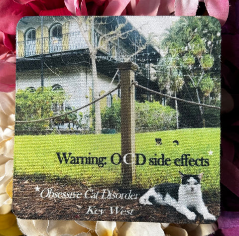 OCD at the Hemingway House Rubber Coaster