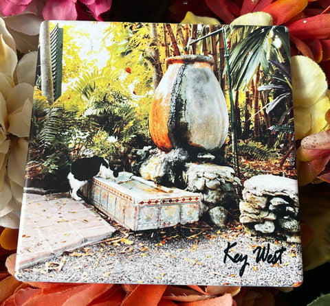 Cats' water bowl at the Hemingway House Sandstone Coaster