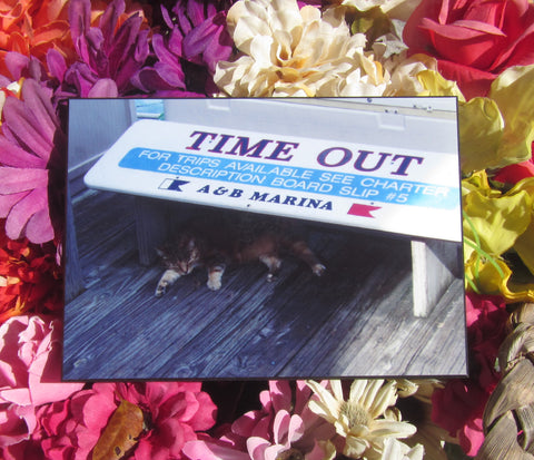Photo Panel 5" x 7" showing a calico cat napping behind a big cooler, under a sign "TIME OUT", "FOR TRIPS AVAILABLE SEE CHARTER DESCRIPTION BOARD SLIP # 5', "A & B MARINA".