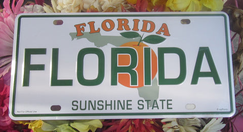 License Plate picture showing a Florida style license plate with the State picture in the background partly covered by an orange, and the writting "FLORIDA" (big green letters in the middle as well as smaller capital orange letters on top) and green letters "SUNSHINE STATE" at the bottom.