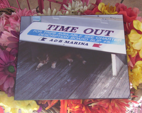 Photo Panel 8" x 10" showing a calico cat napping behind a big cooler, under a sign "TIME OUT", "FOR TRIPS AVAILABLE SEE CHARTER DESCRIPTION BOARD SLIP # 5', "A & B MARINA".
